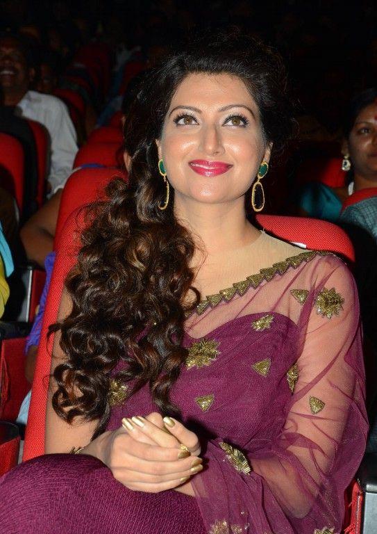 Bengal Tiger Audio Launch Pics