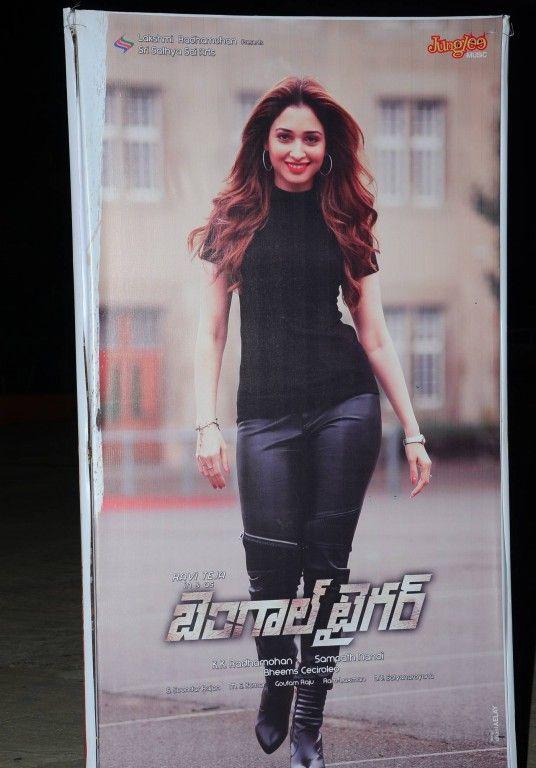 Bengal Tiger Hoardings At Audio Launch