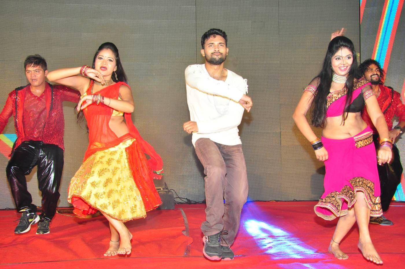 Bengal Tiger Triple Platinum Disc Function