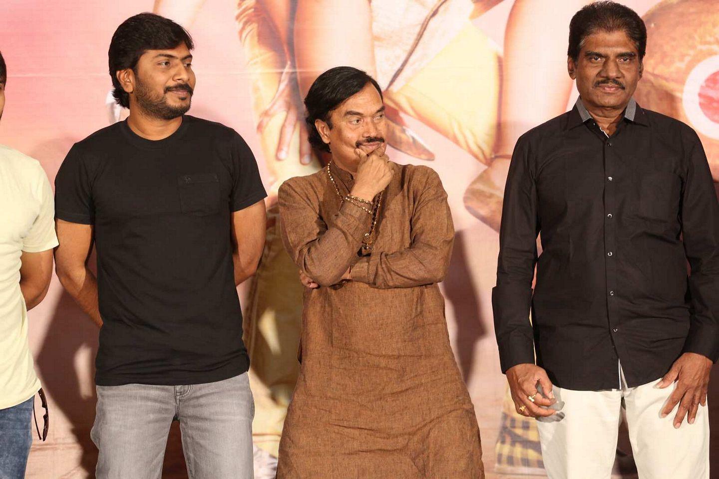 Bengal Tiger Video Songs Launch