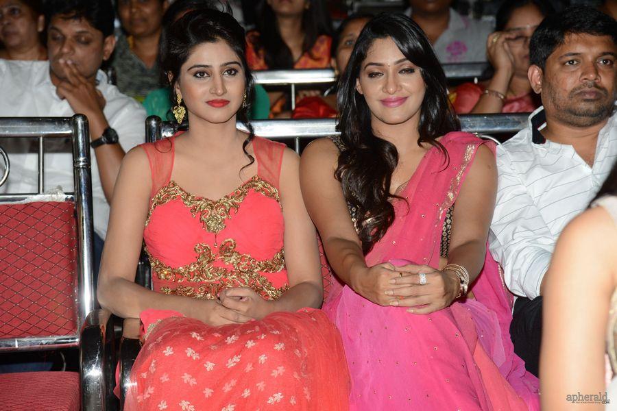 Best Actors Audio Launch Photos