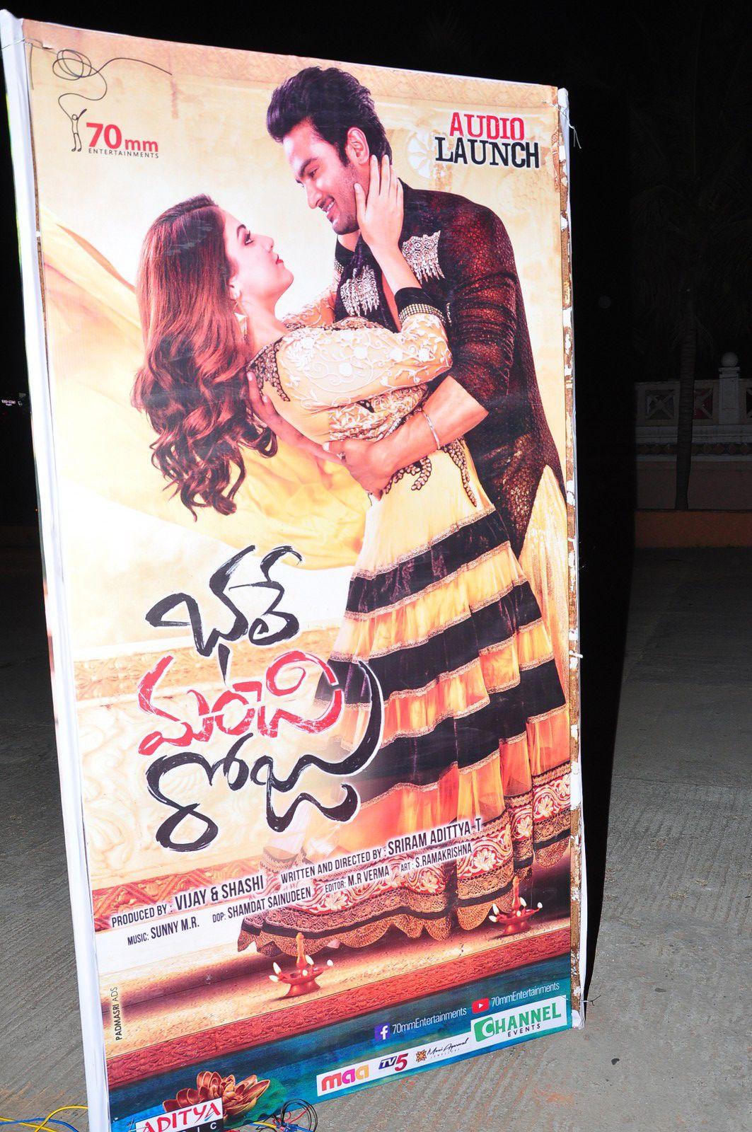  Bhale Manchi Roju Audio Launch Pics