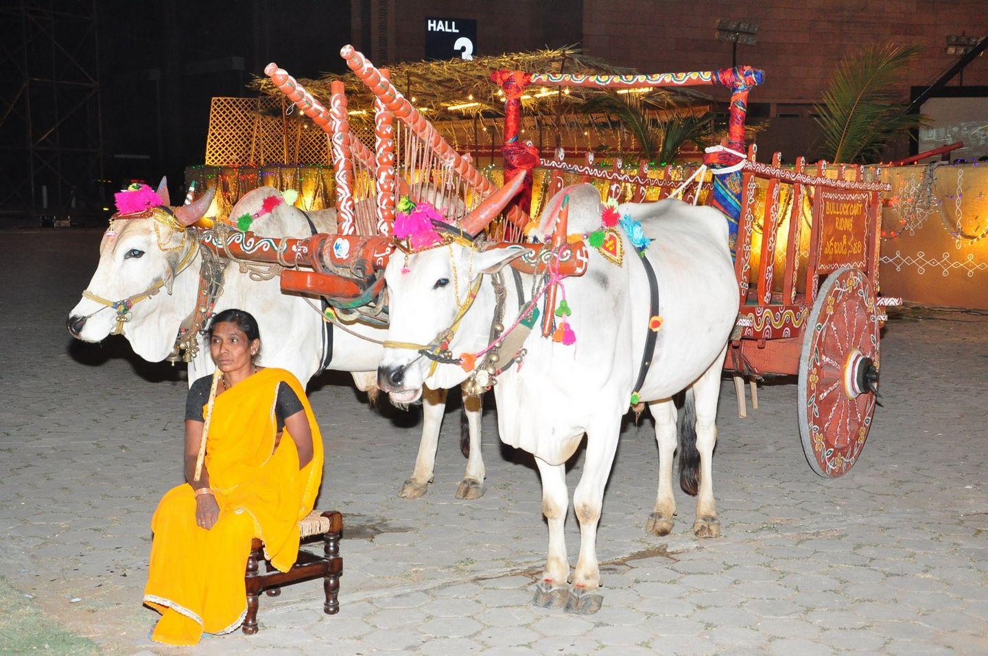 Celebrities at Pearl V Potluri Half Saree Ceremony