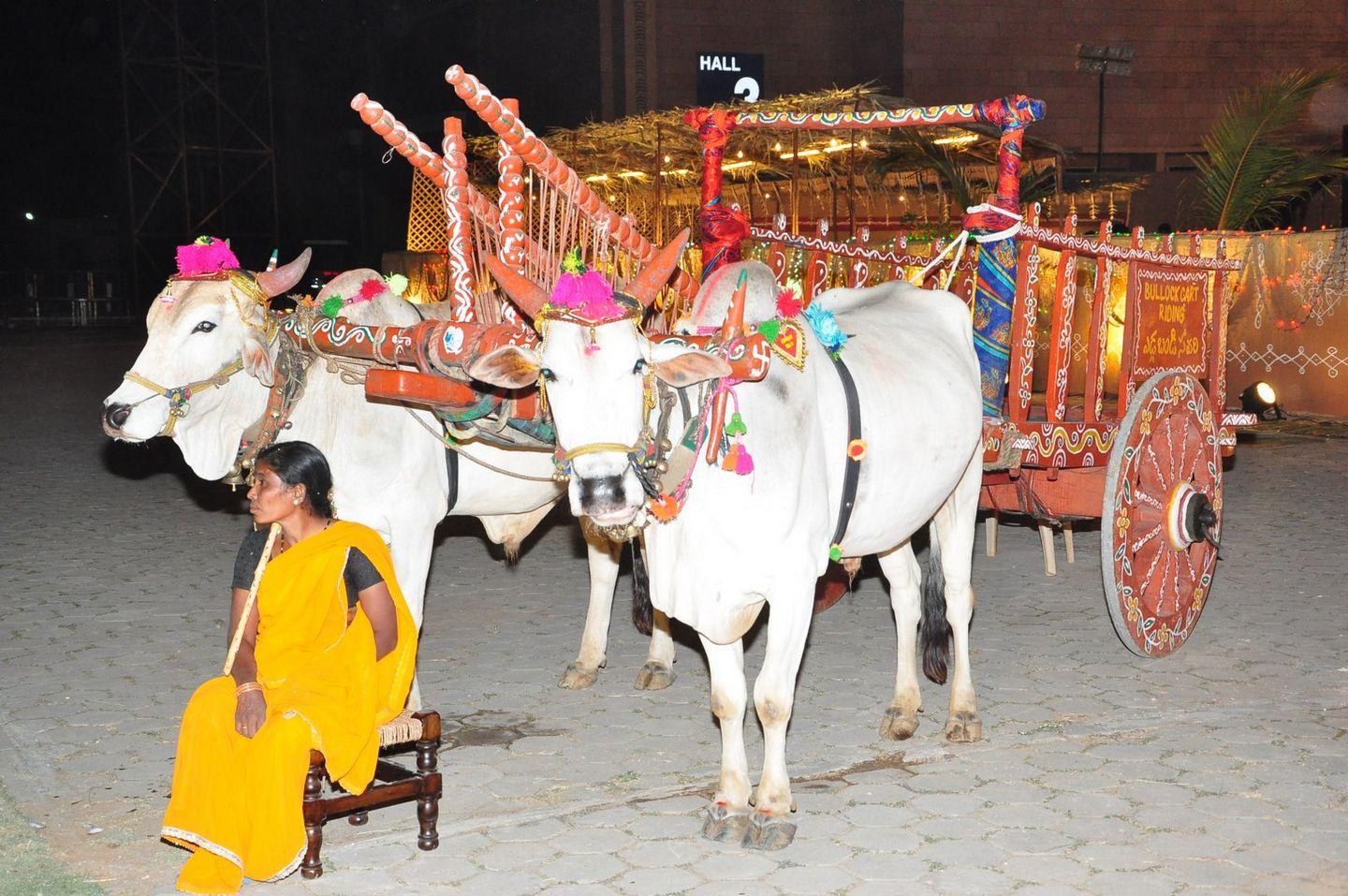 Celebrities at Pearl V Potluri Half Saree Ceremony
