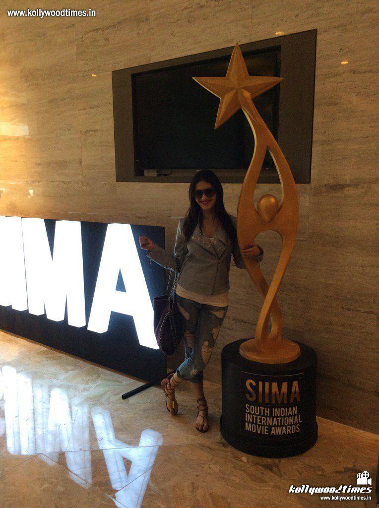 Celebrities At SIIMA Awards 2016