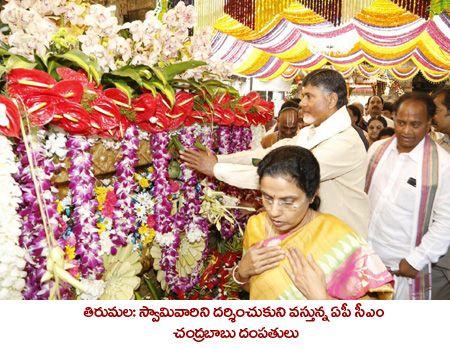 Chandrababu  Grand son Anna Prasana Photos