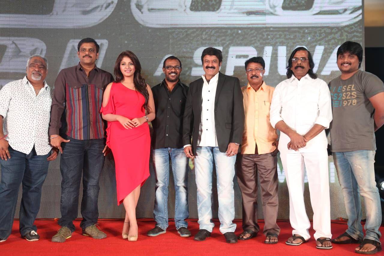 Dictator Audio success Meet Photos Part II