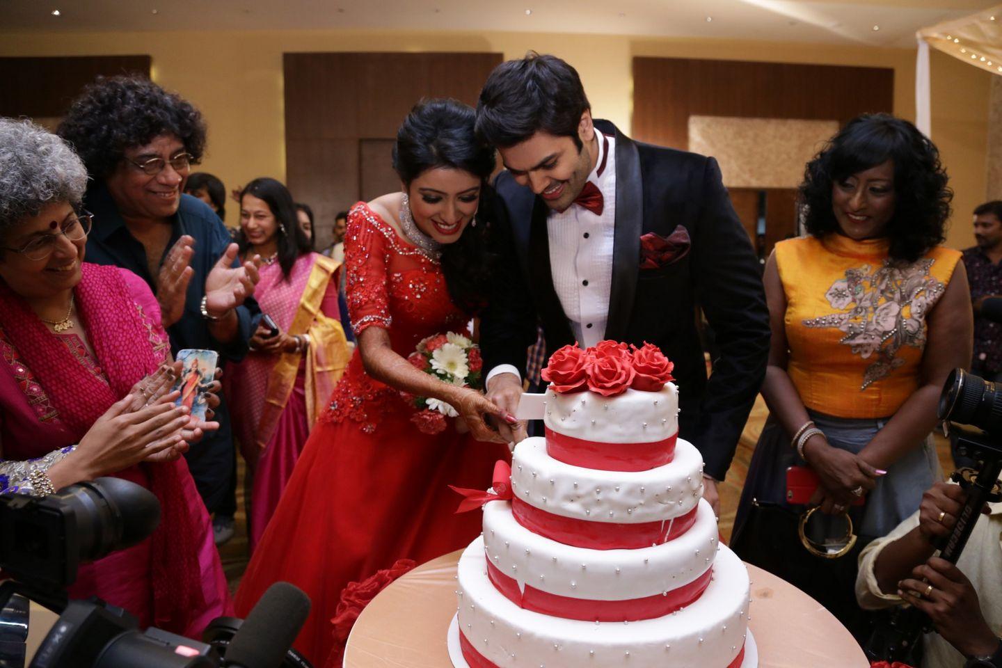 Ganesh Venkatraman Nisha Wedding Reception Photos Part II