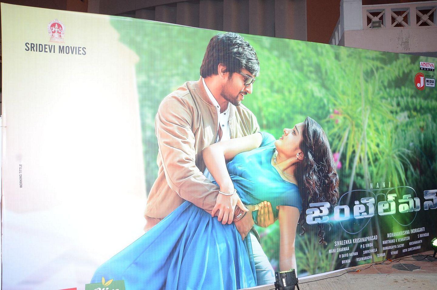 Gentleman Audio Launch Photos