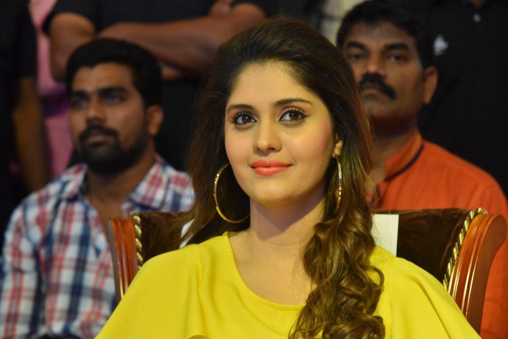 Gentleman Successmeet Photos At Guntur