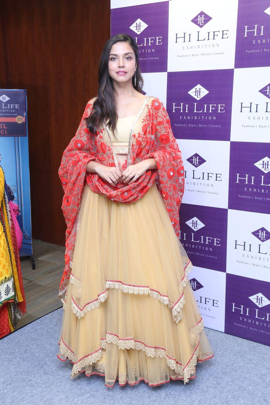 Hi Life Exhibition Curtain Raiser March 2016 Hyderabad Photos