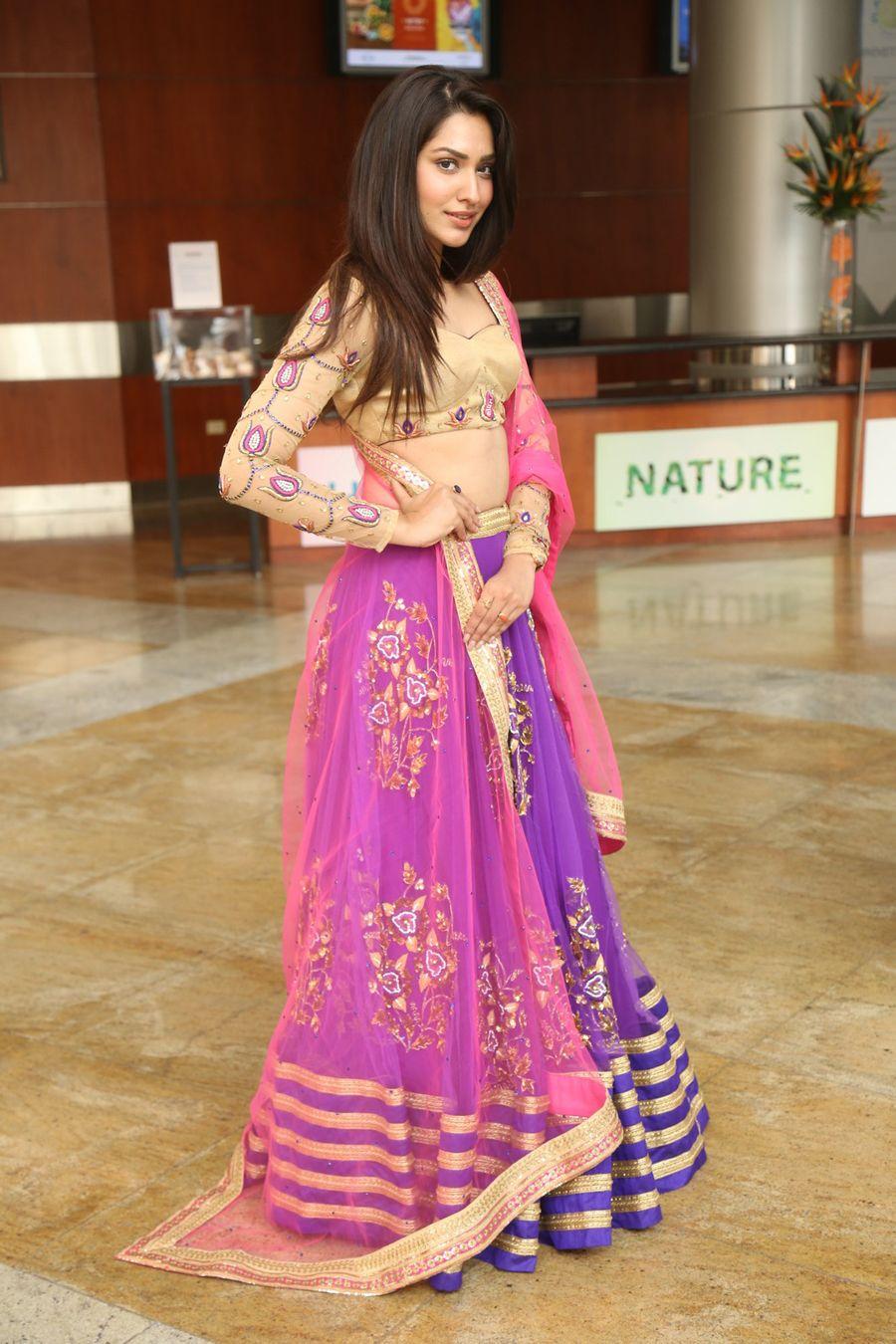 Hi Life Exhibition Curtain Raiser March 2016 Hyderabad Photos