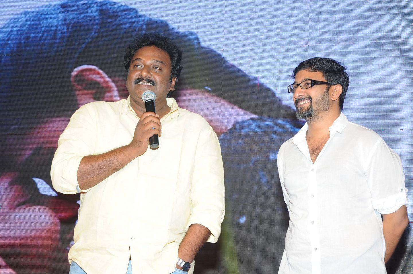 Hora Hori Movie Audio Launch Pics