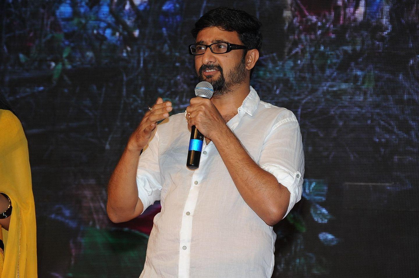 Hora Hori Movie Audio Launch Pics