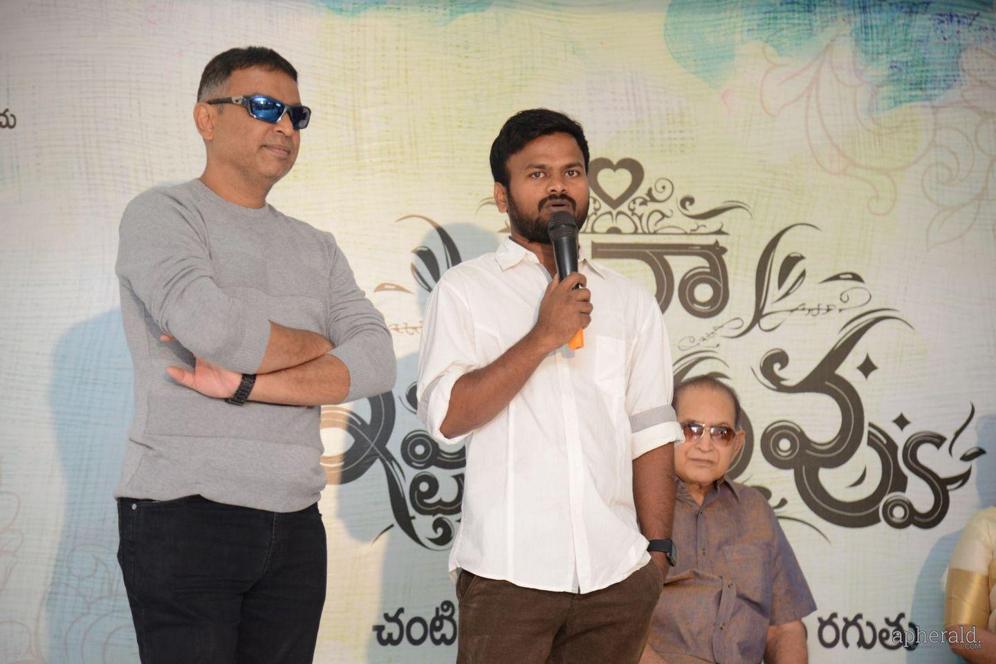 Ina Istam Nuvvu Press Meet Pics