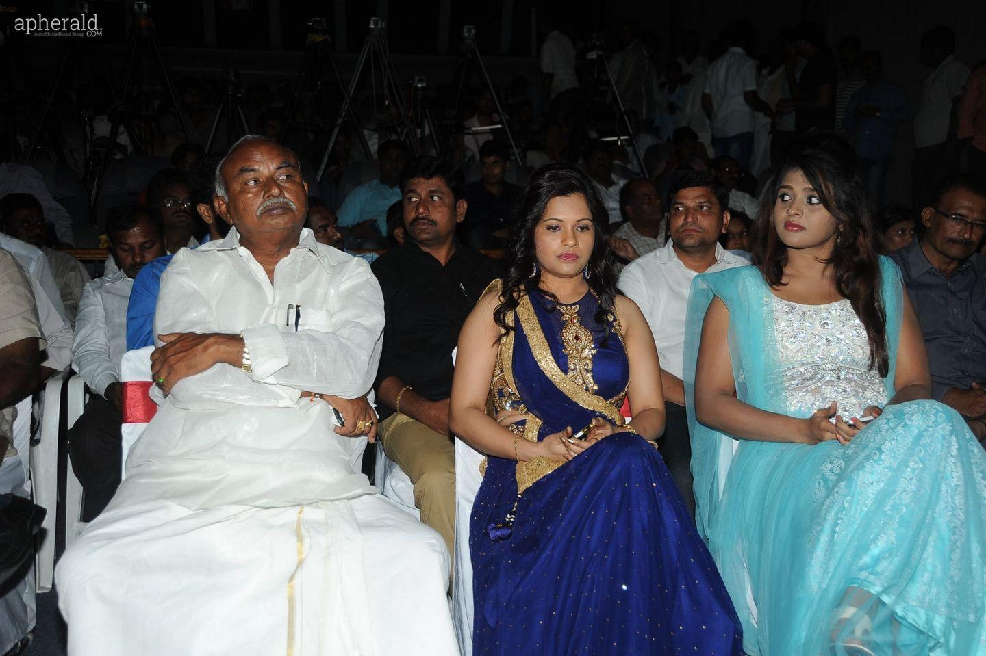 Kakatiyudu Audio Launch Pics