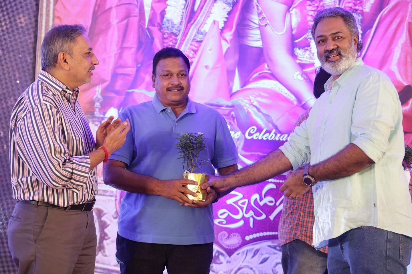 Kalyana Vaibhogame Audio Launch Photos