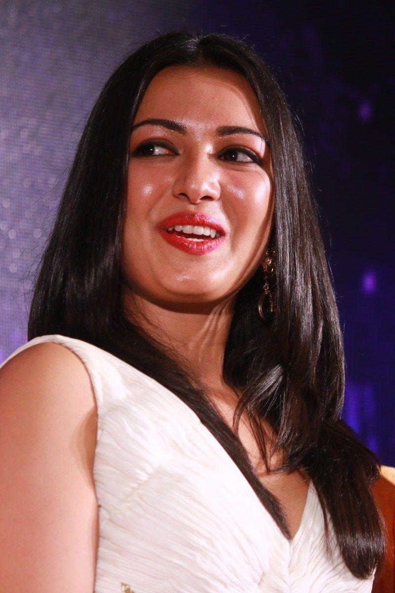  Kanithan Movie Audio Launch Photos