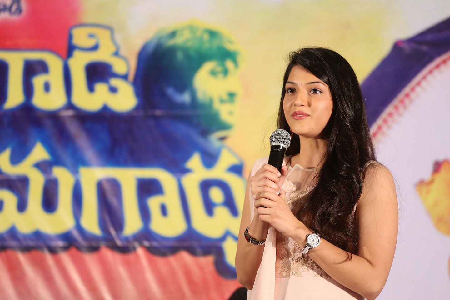 Krishna Gadi Veera Prema Gadha Success Meet Photos