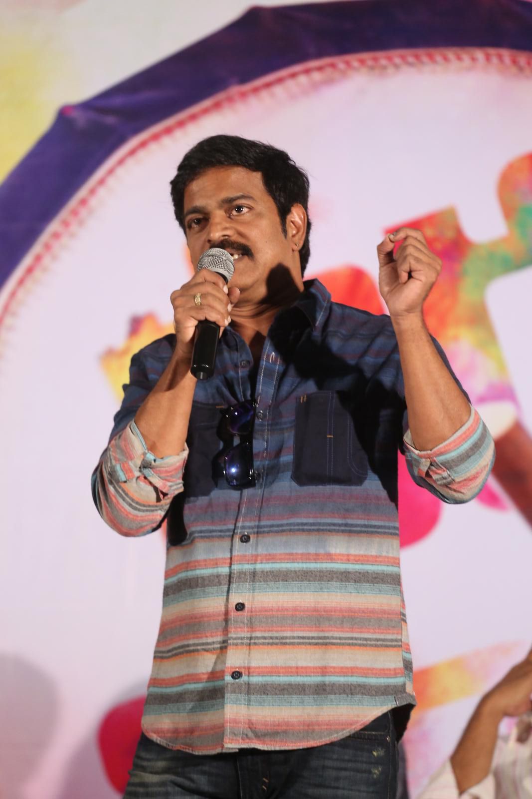 Krishna Gadi Veera Prema Gadha Success Meet Photos