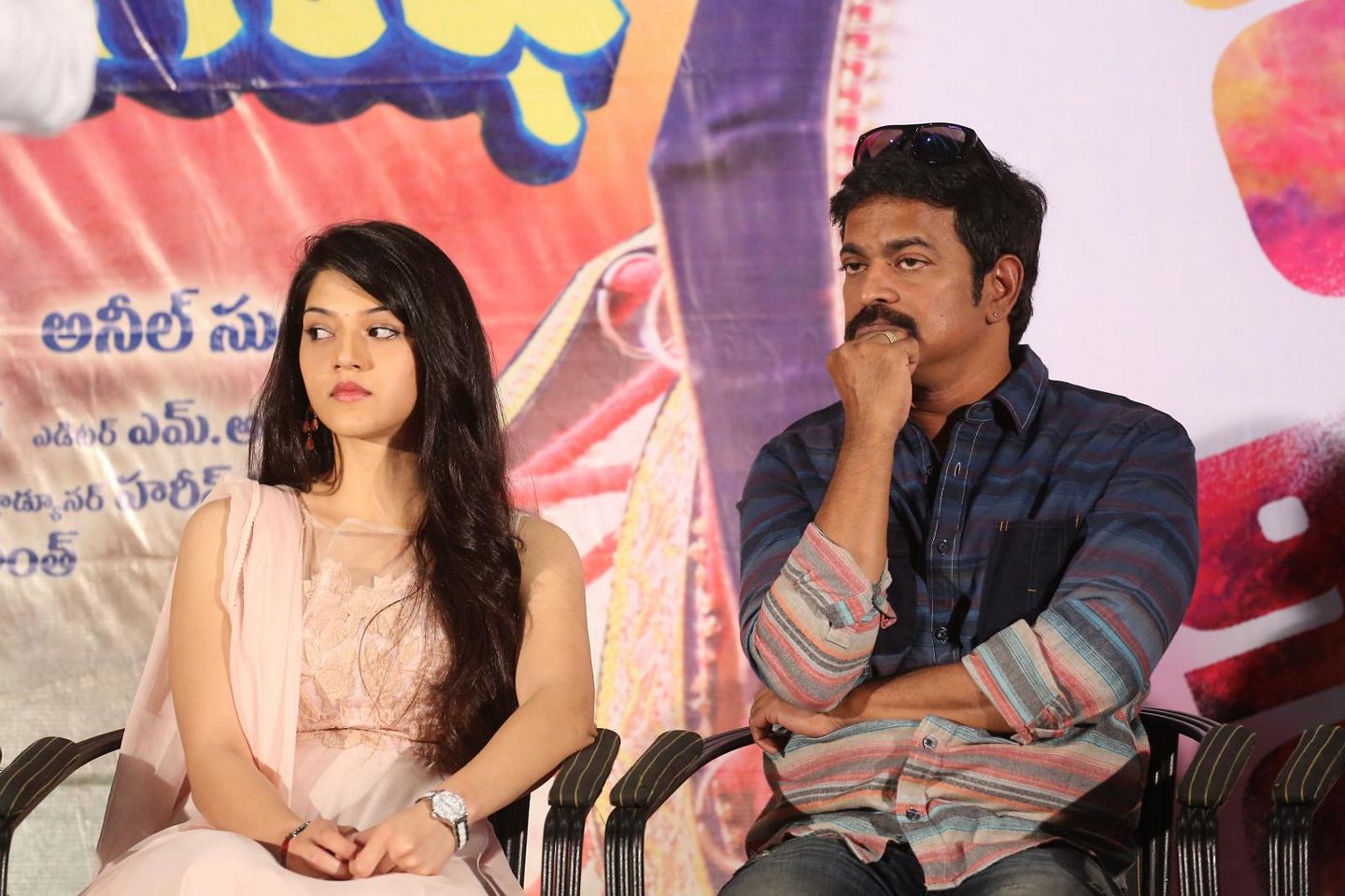Krishna Gadi Veera Prema Gadha Success Meet Photos
