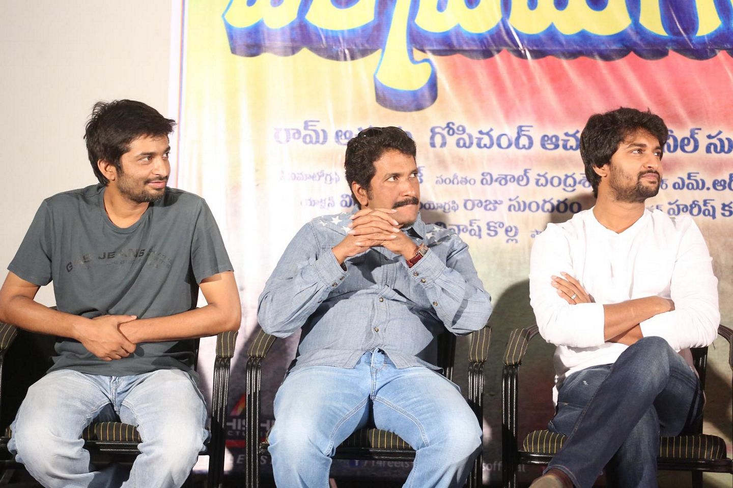Krishna Gadi Veera Prema Gadha Success Meet Photos
