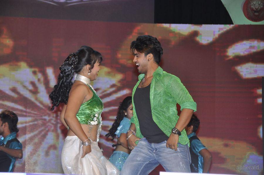 Lion Audio Function Pics