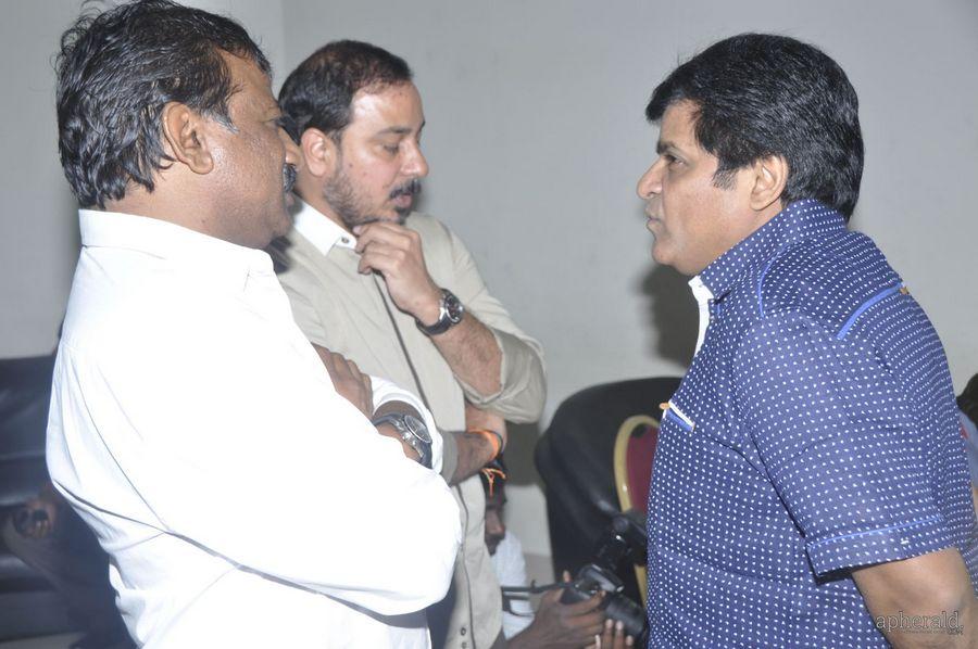 Lion Audio Function Pics