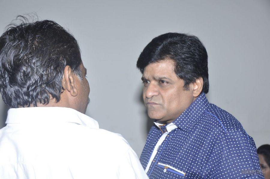 Lion Audio Function Pics