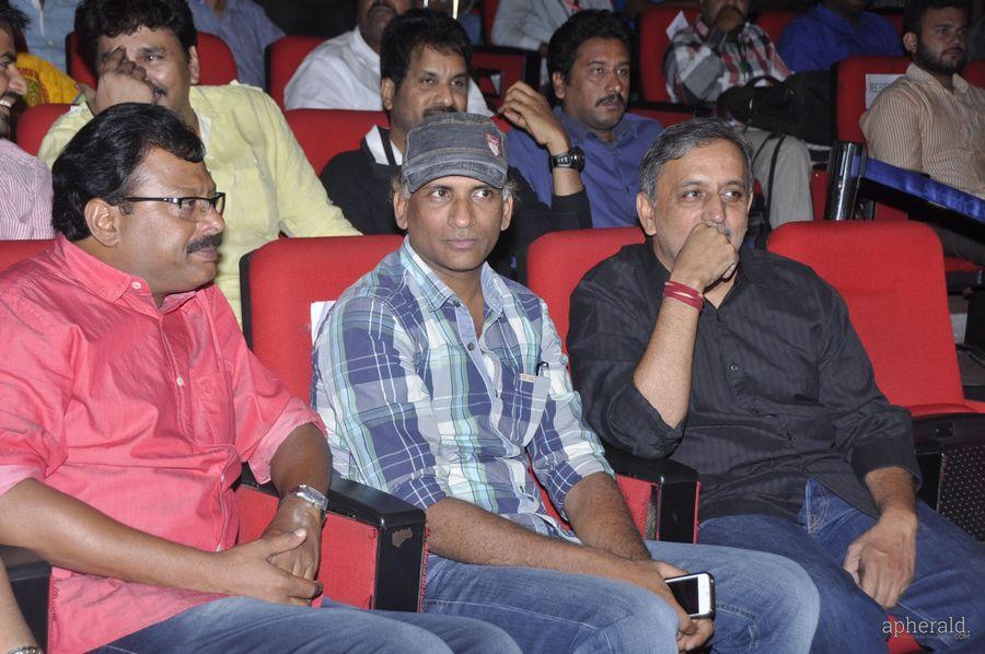Lion Audio Function Pics