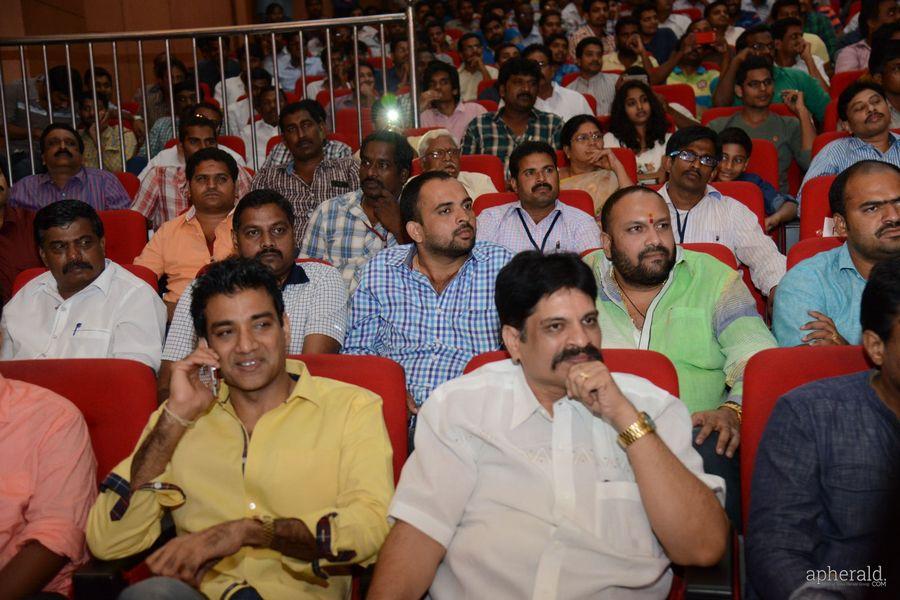 Lion Audio Function Pics