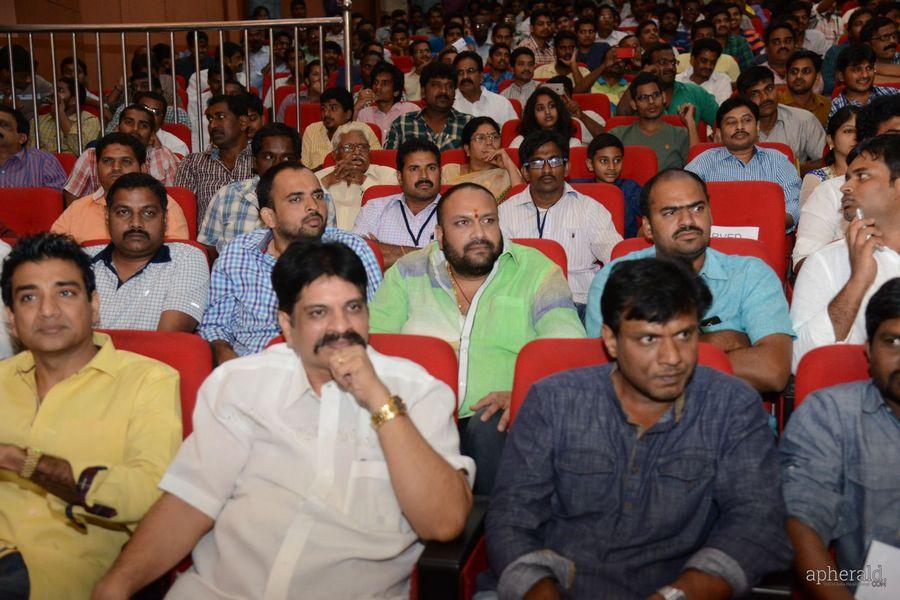 Lion Audio Function Pics