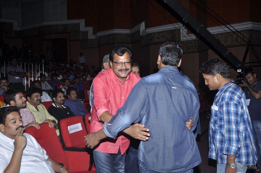 Lion Audio Function Pics