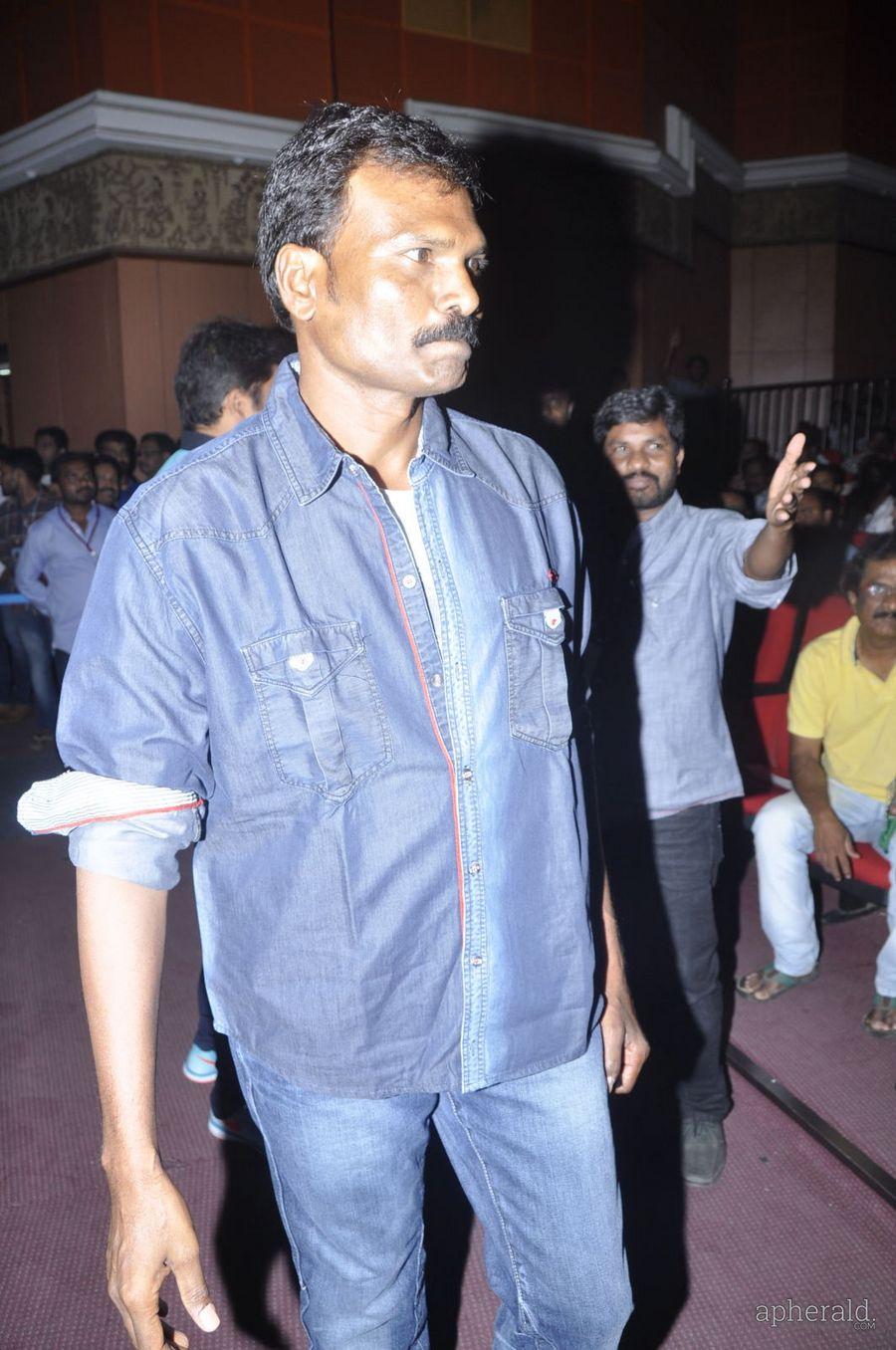 Lion Audio Function Pics