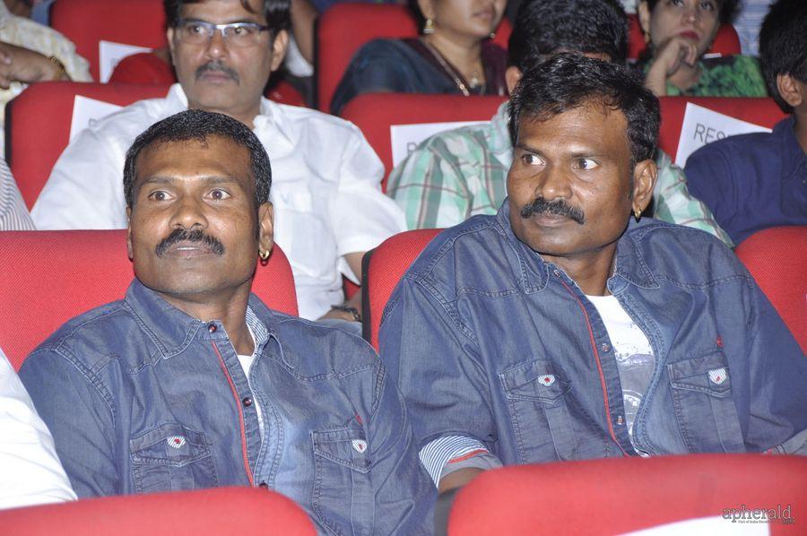 Lion Audio Function Pics