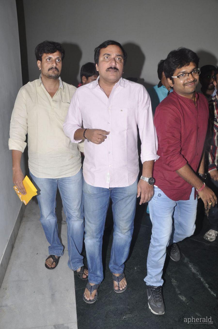 Lion Audio Function Pics