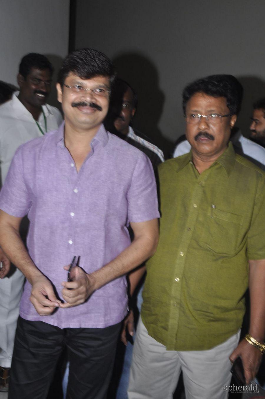 Lion Audio Function Pics