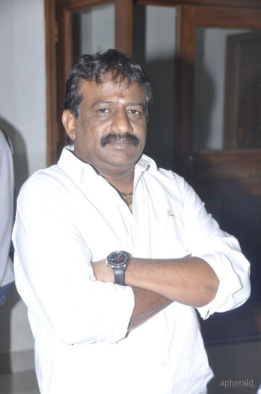 Lion Audio Function Pics