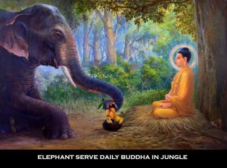 Lord Buddha unseened photos