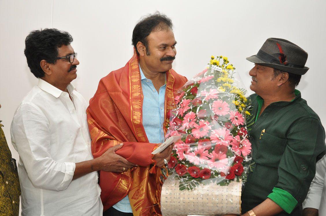 Maa Team Celebrates Nagababu Birthday