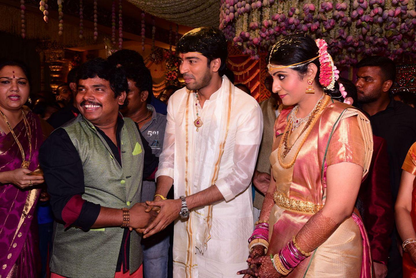 Main Celebs Group at Allari Naresh Wedding Photos