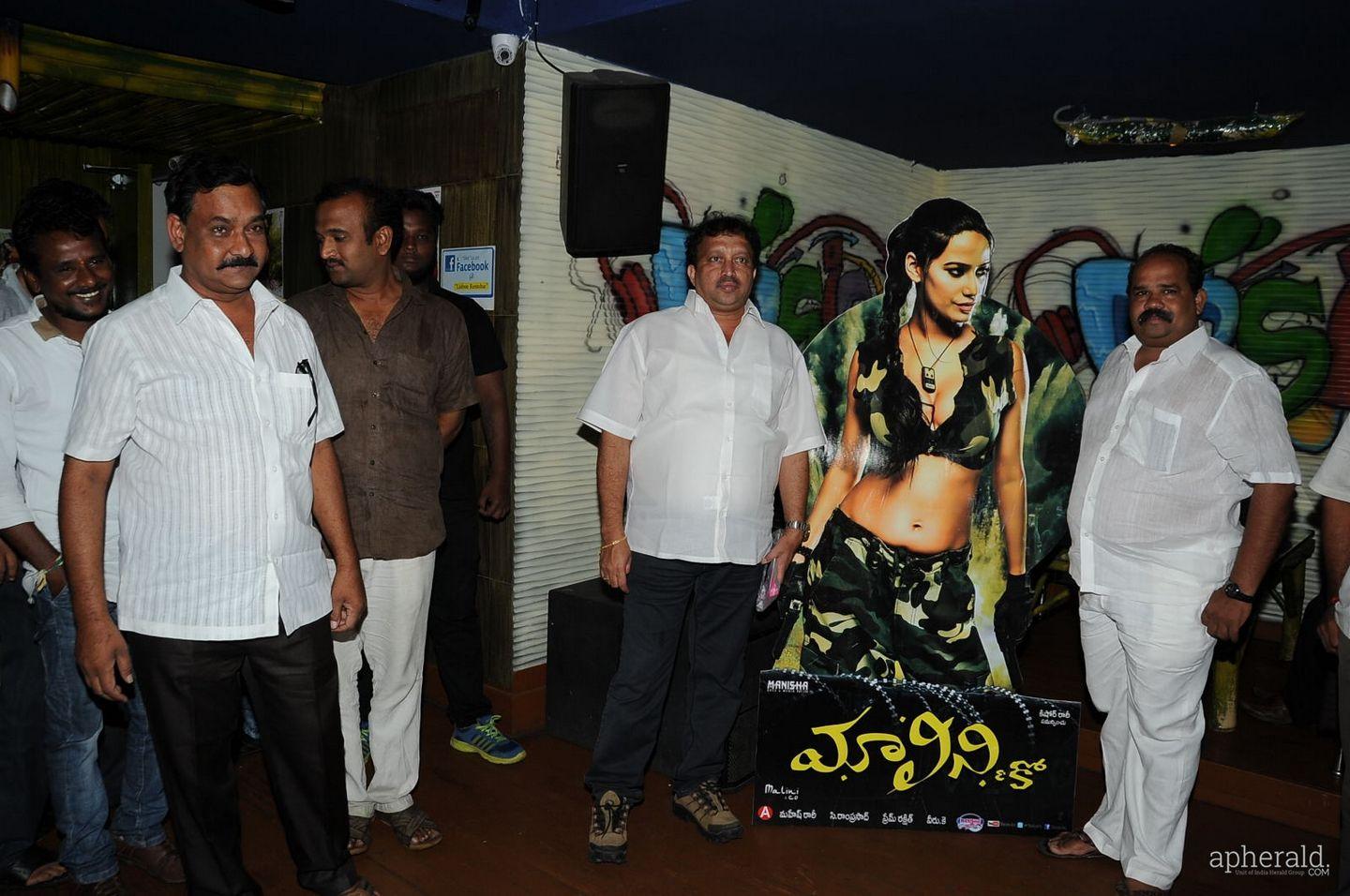Malini And Co Cheers Party Photos