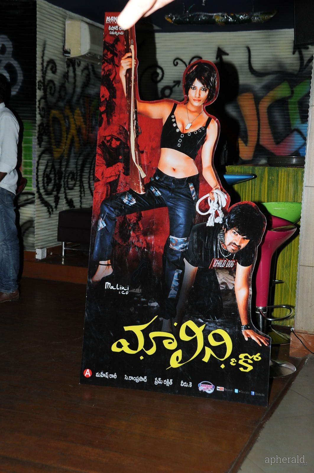 Malini And Co Cheers Party Photos