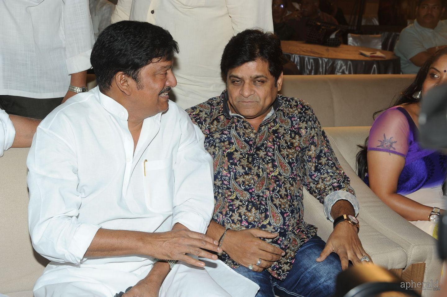 Malupu Audio Launch