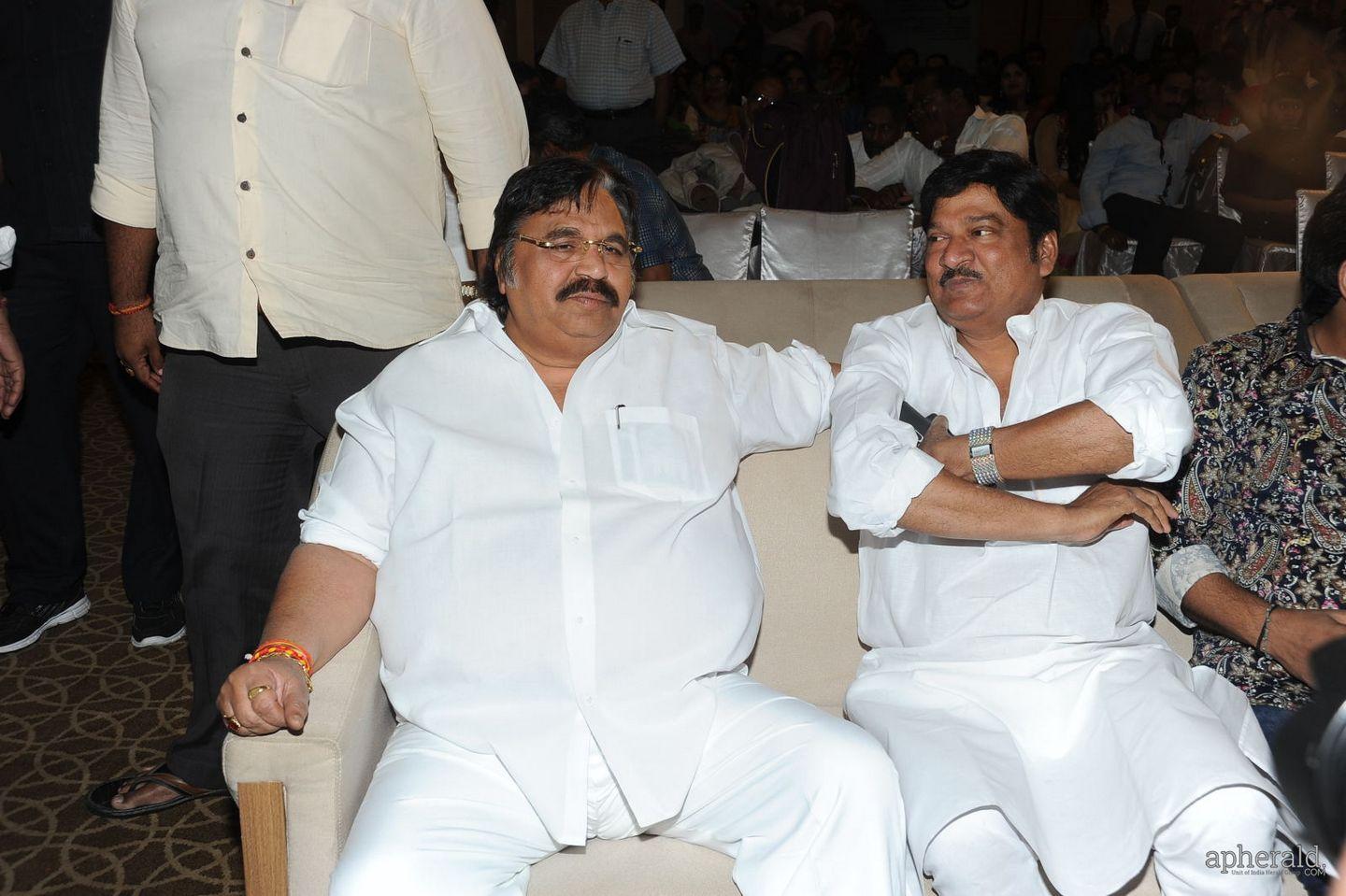 Malupu Audio Launch