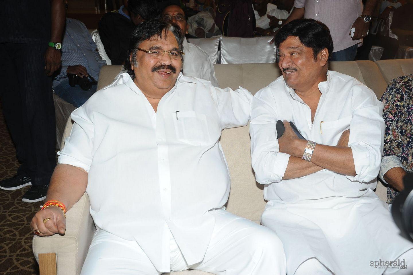 Malupu Audio Launch