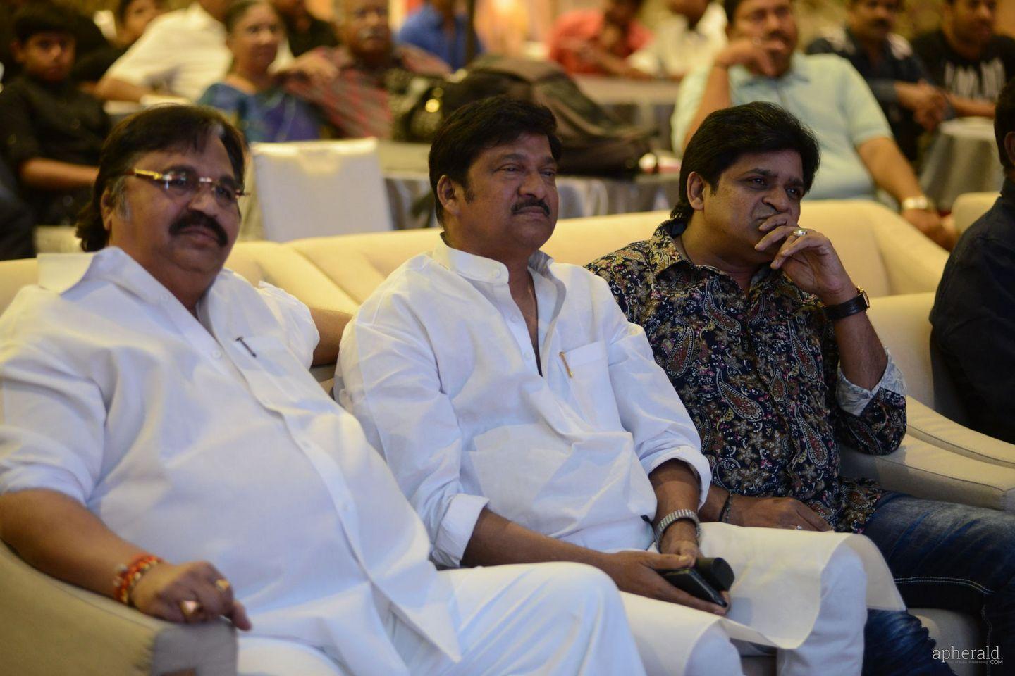 Malupu Audio Launch