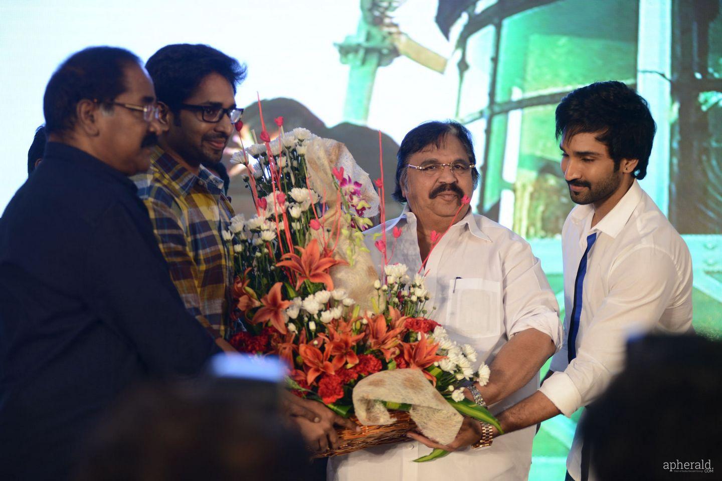 Malupu Audio Launch