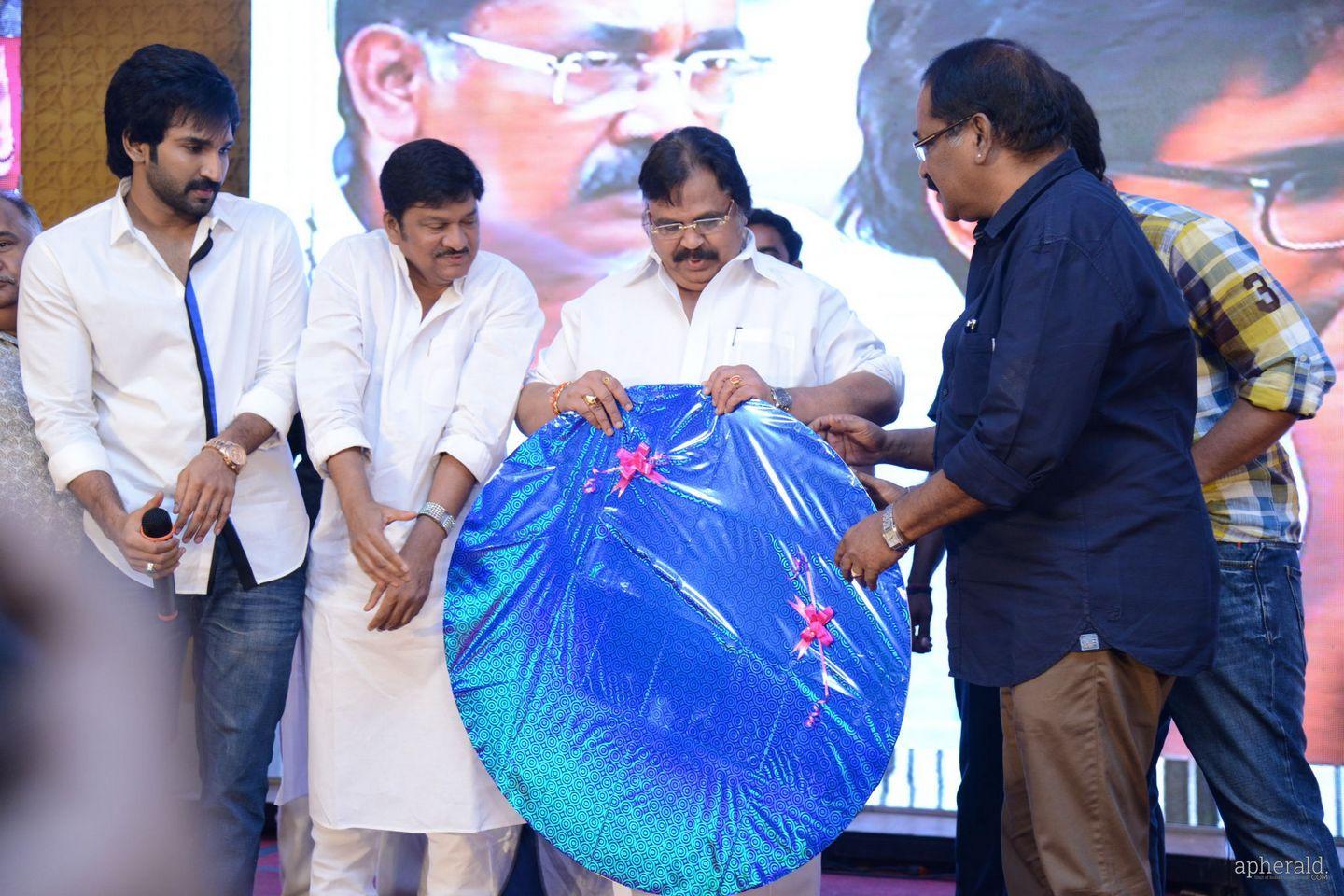Malupu Audio Launch