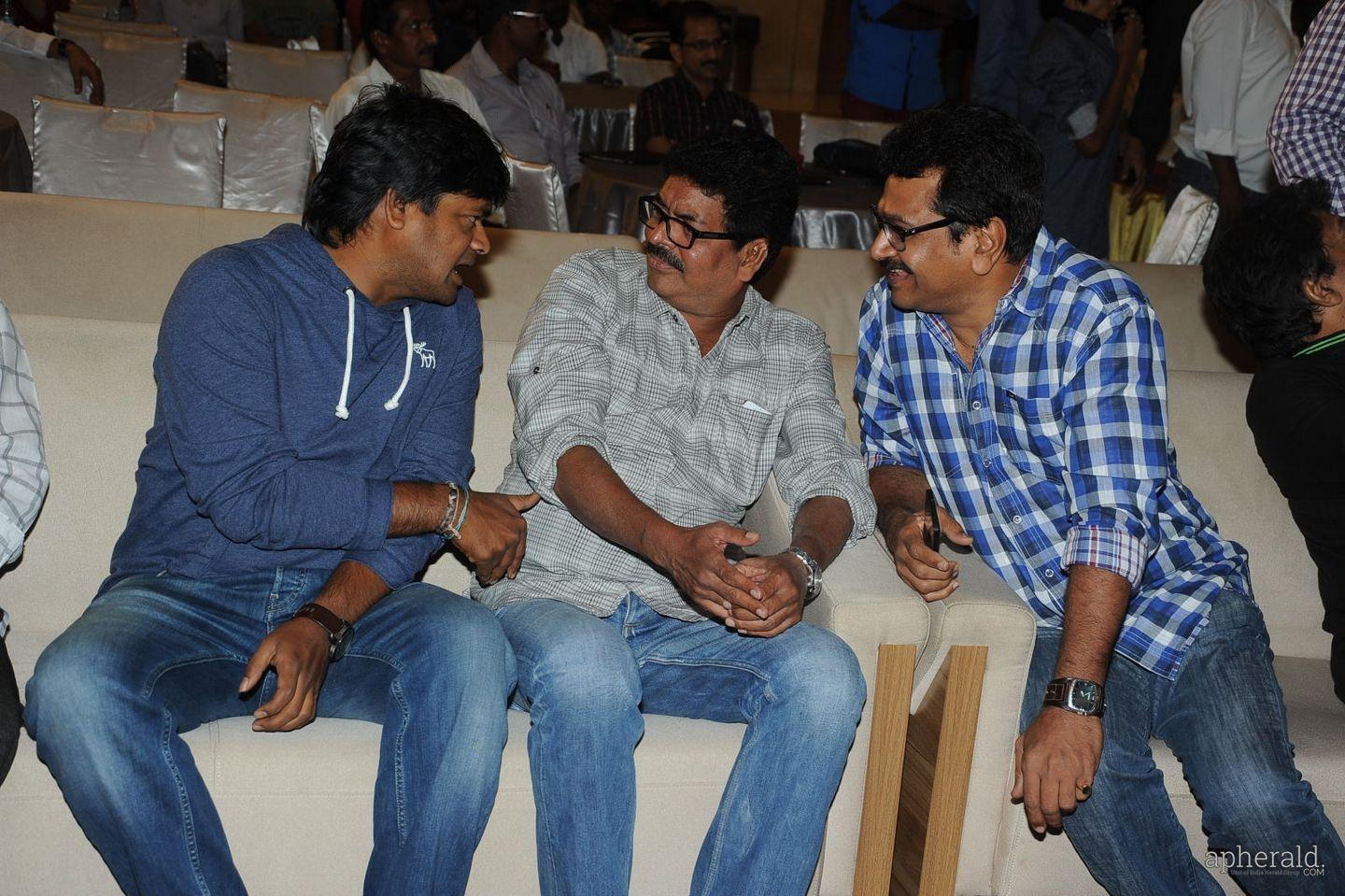 Malupu Audio Launch